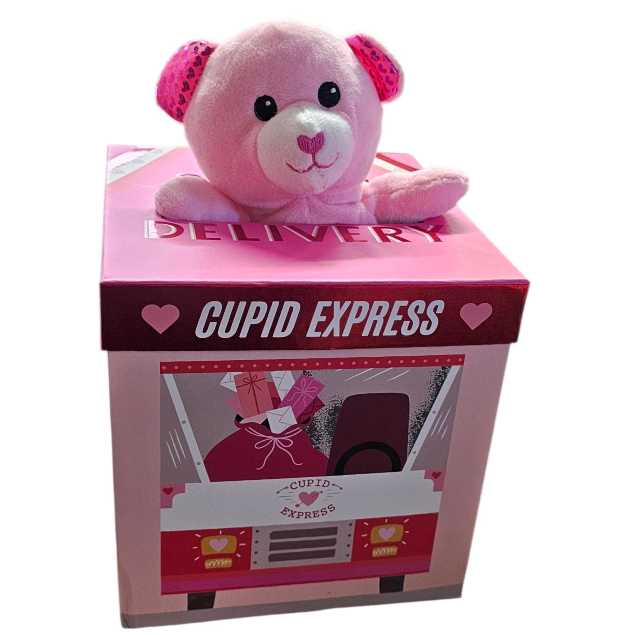 Valentine's Day Gift Basket, spa women gift set - Vicais